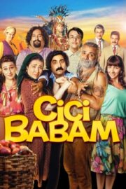 Cici Babam